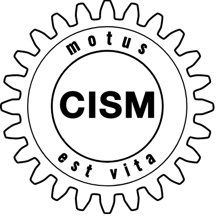 Lectures at CISM Course